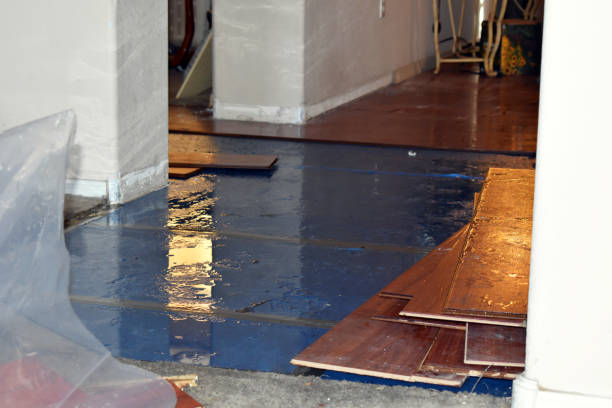 Professional Flood Cleanup technician working in Foxboro, MA